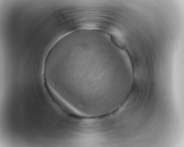 X0000088691378200706211919
