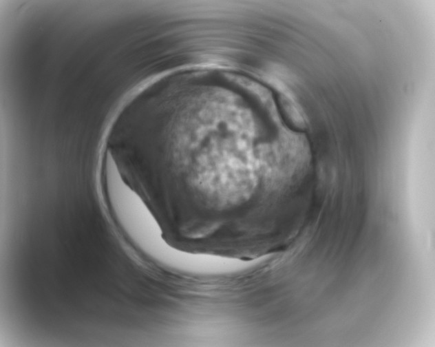 X0000088691379200706211919