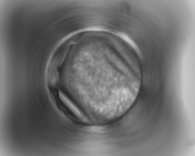 X0000088691380200706211919
