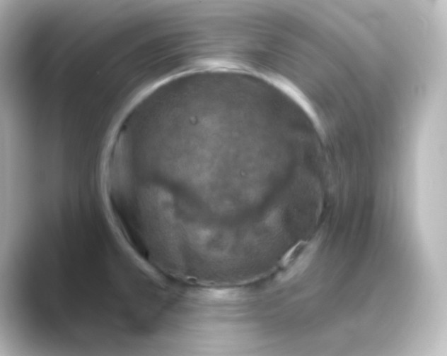 X0000088691381200706211919
