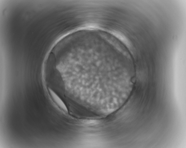 X0000088691382200706211919