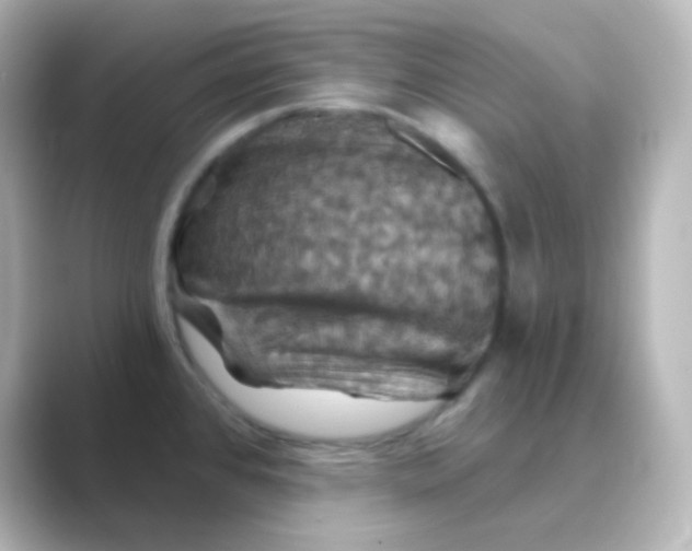 X0000088691384200706211919