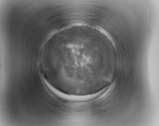 X0000088691385200706211919