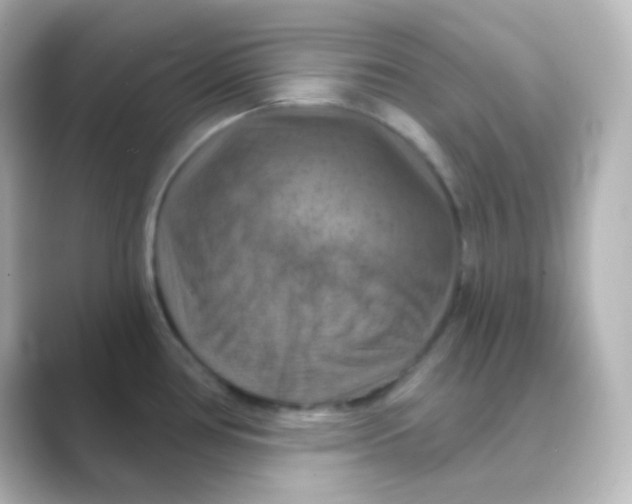 X0000088691386200706211919