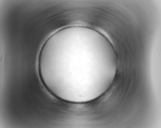 X0000088691387200706211919
