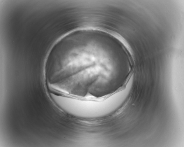X0000088691388200706211919