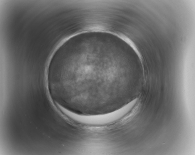 X0000088691389200706211919