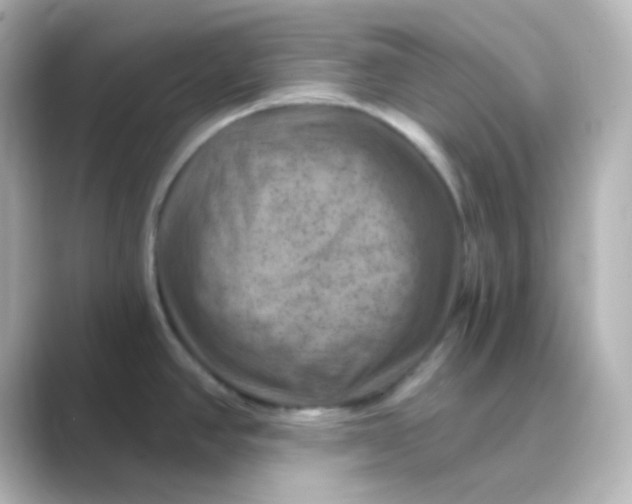 X0000088691390200706211919