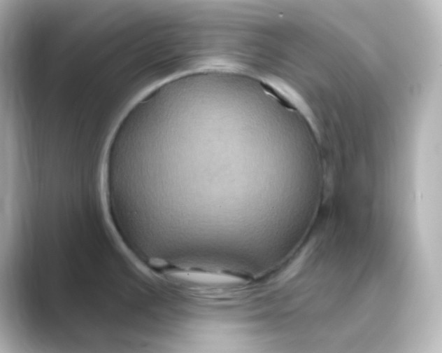 X0000088691391200706211919