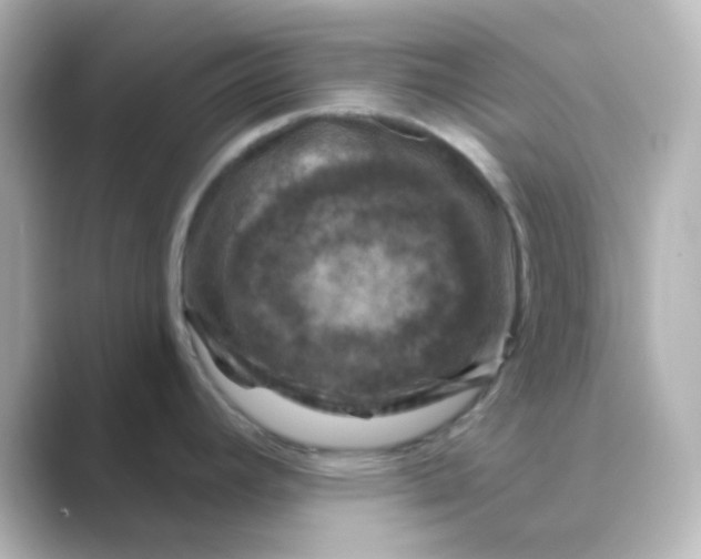 X0000088691392200706211919