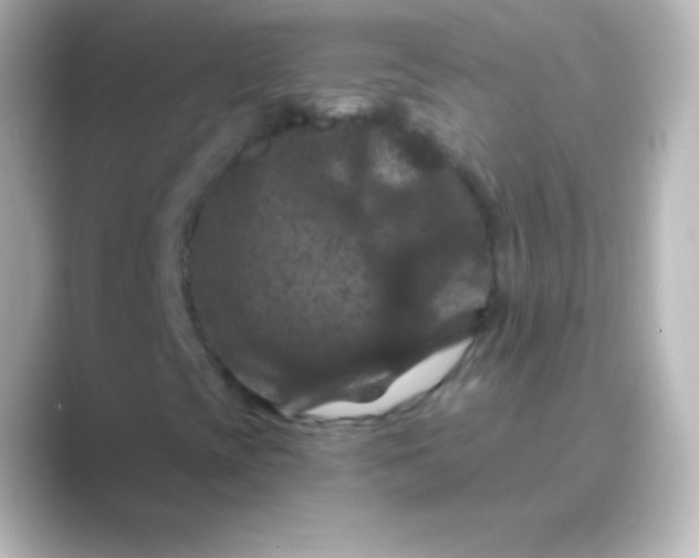 X0000088691393200706211918