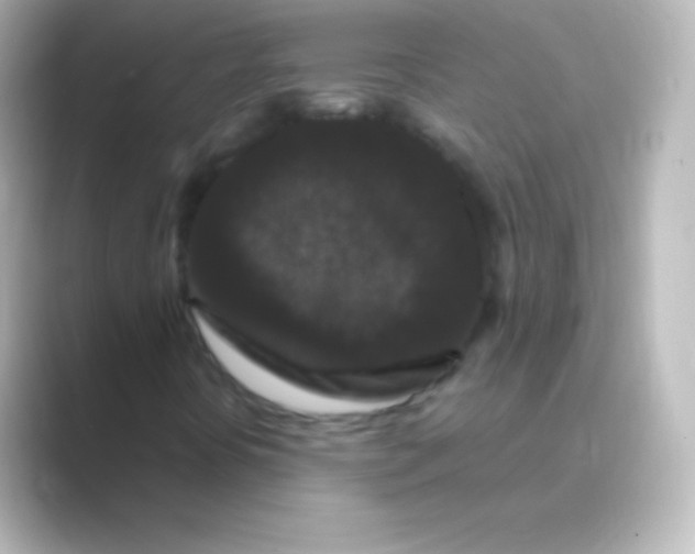 X0000088691394200706211918