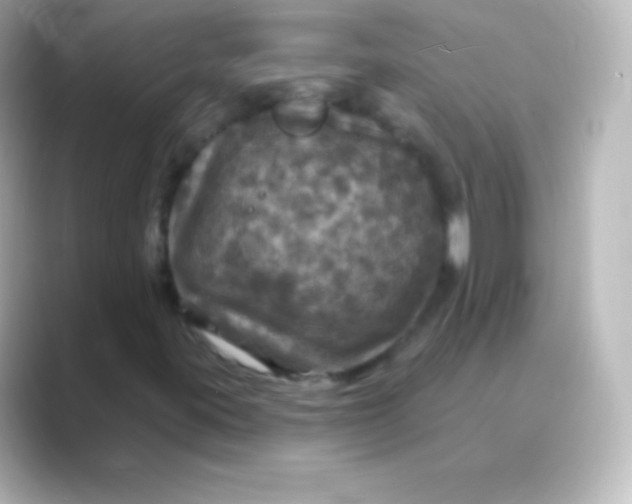 X0000088691395200706211918