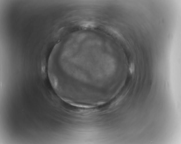 X0000088691396200706211918
