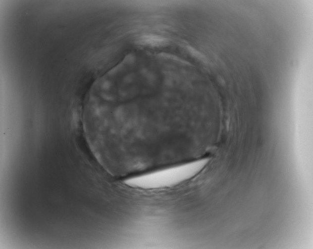X0000088691397200706211918