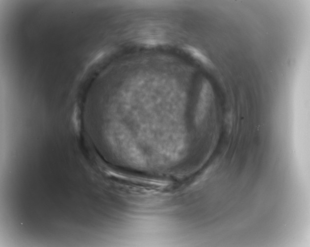 X0000088691398200706211918