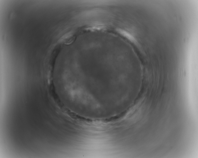 X0000088691399200706211918