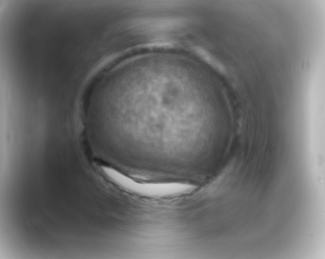 X0000088691400200706211918