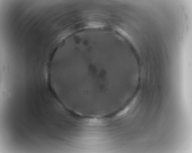 X0000088691401200706211918