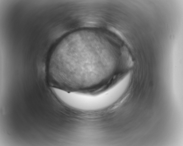 X0000088691402200706211918
