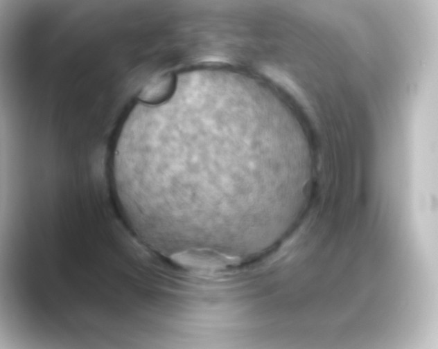 X0000088691404200706211918