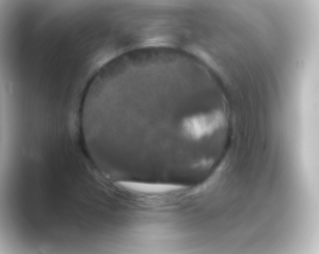 X0000088691405200706211918