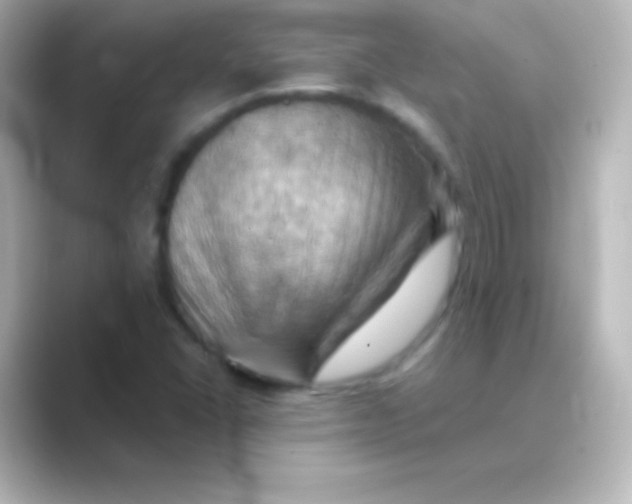X0000088691406200706211918