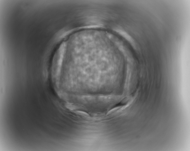 X0000088691407200706211918
