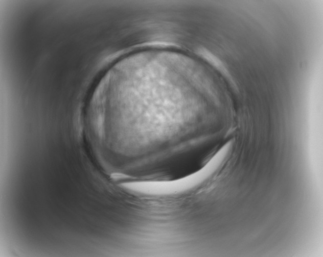 X0000088691408200706211918
