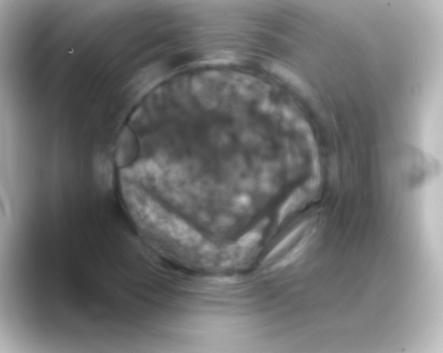 X0000088691409200706211918