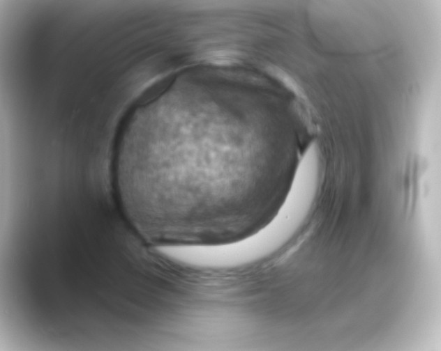 X0000088691410200706211918