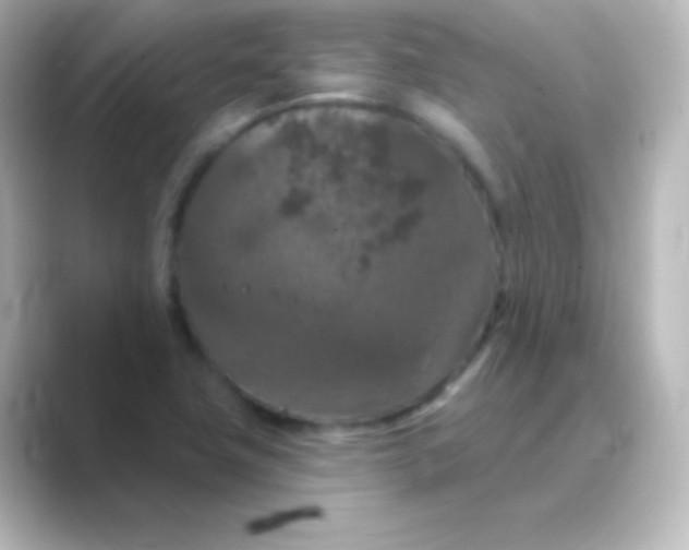 X0000088691411200706211918