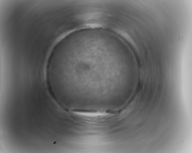 X0000088691412200706211918