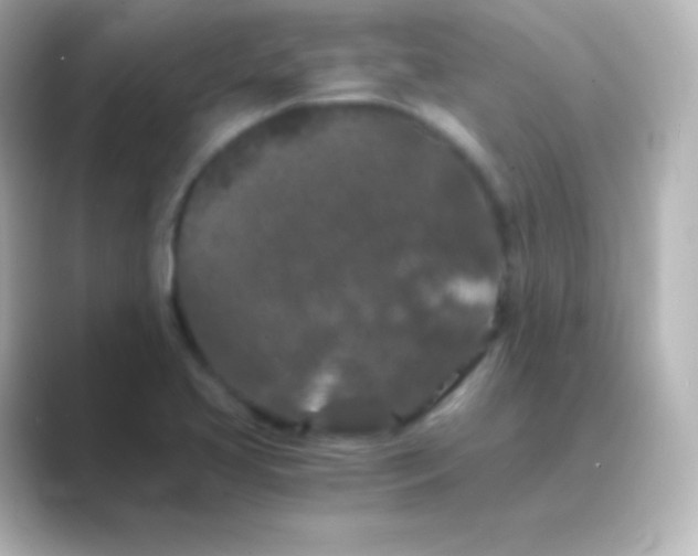 X0000088691413200706211918