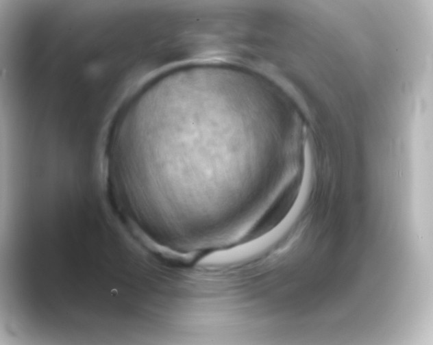 X0000088691414200706211918