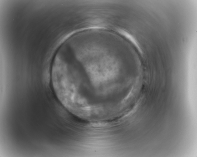 X0000088691415200706211918