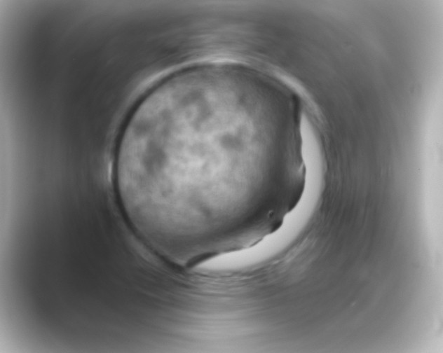 X0000088691416200706211918