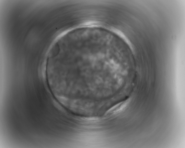 X0000088691421200706211919