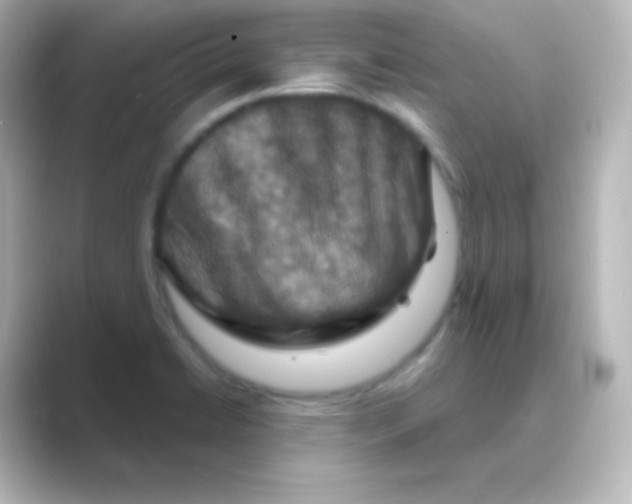 X0000088691422200706211919