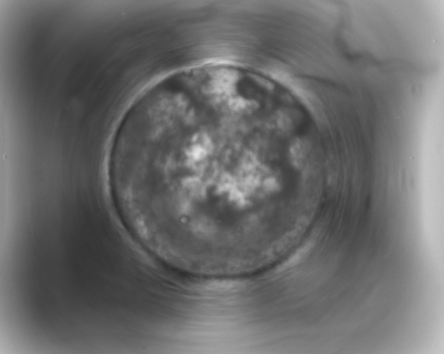 X0000088691423200706211919