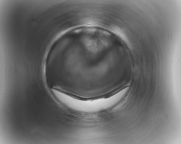 X0000088691424200706211919