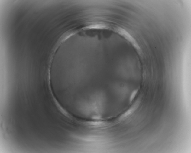 X0000088691425200706211919