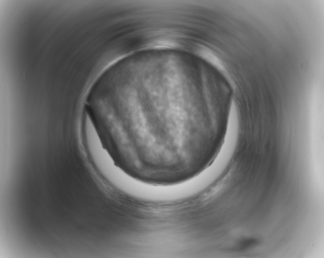 X0000088691426200706211919