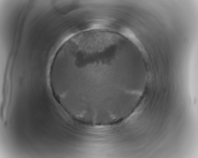 X0000088691427200706211919
