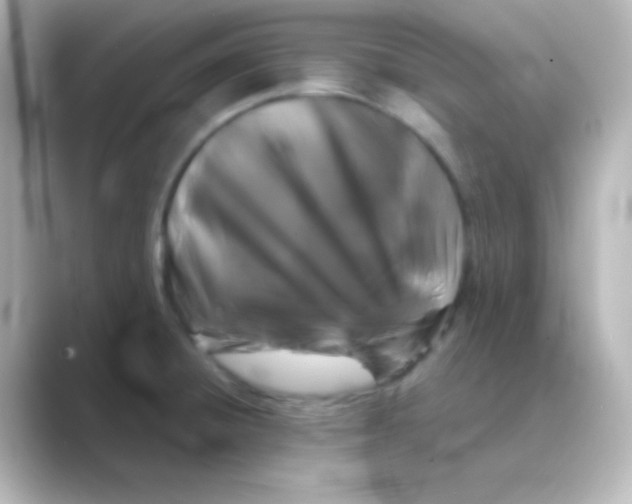 X0000088691428200706211919