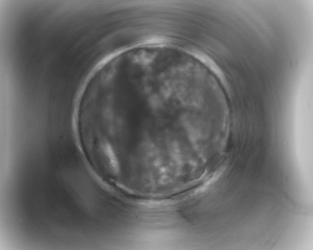 X0000088691429200706211919