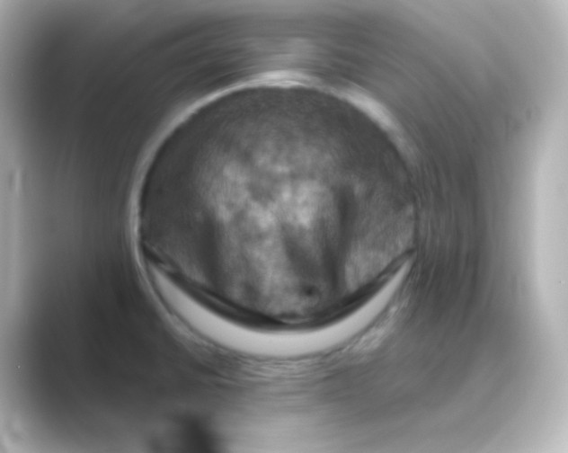 X0000088691430200706211919