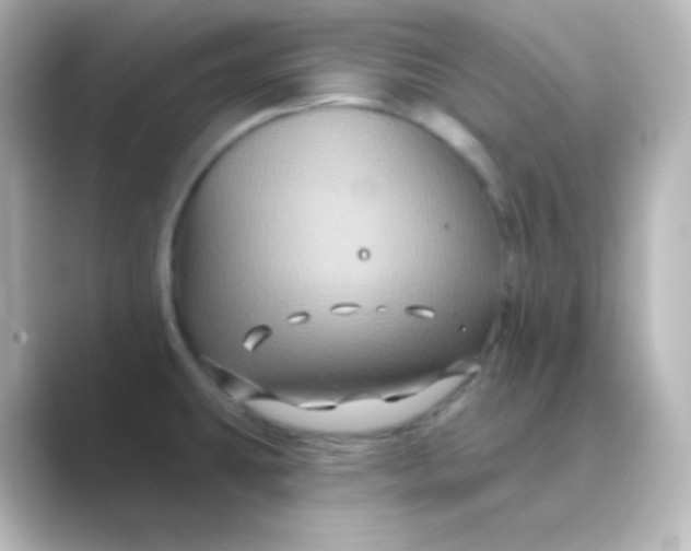 X0000088691431200706211919
