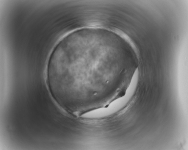 X0000088691432200706211919