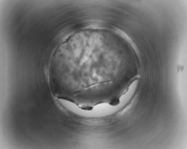 X0000088691433200706211919